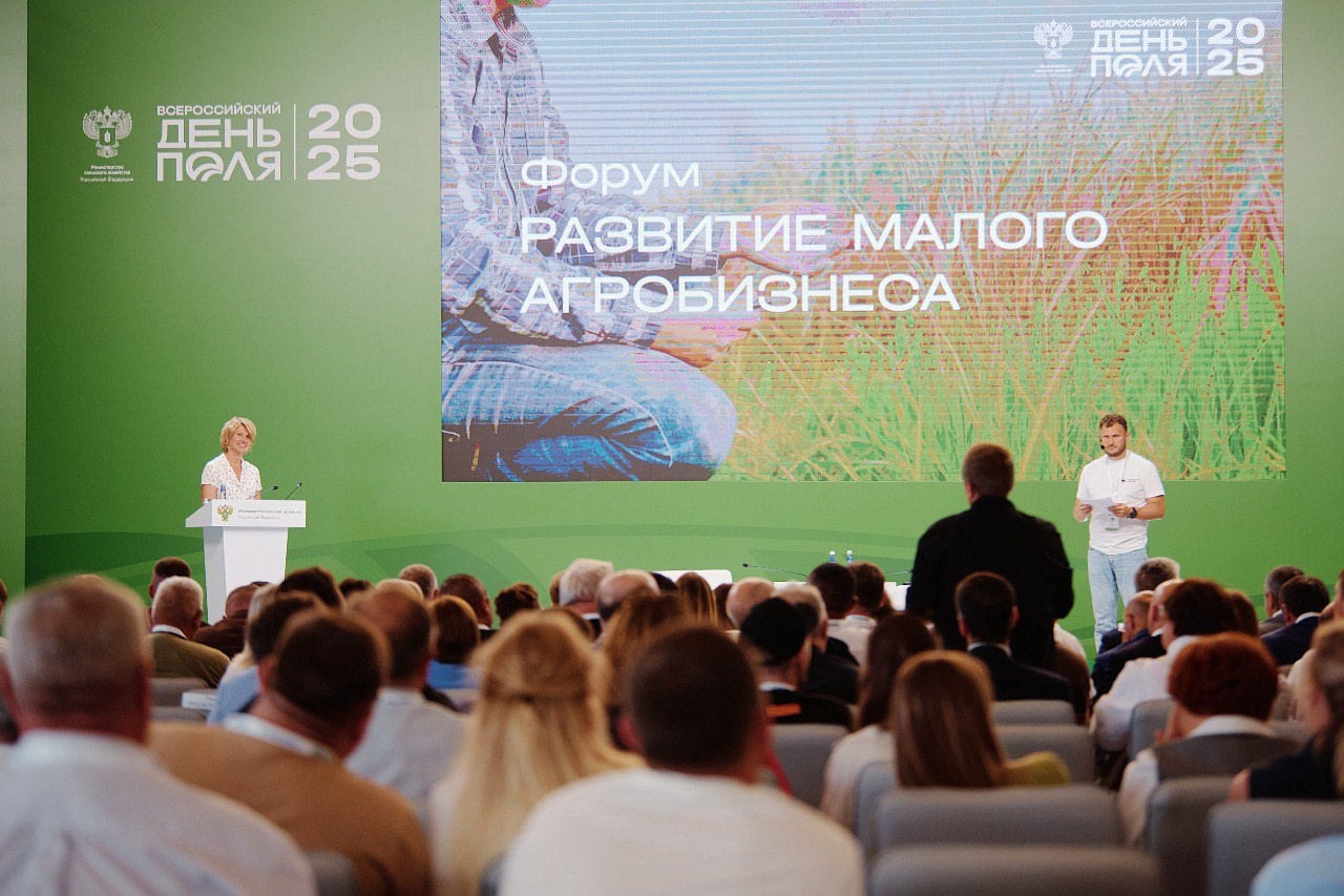 Всероссийского дня поля - 2025